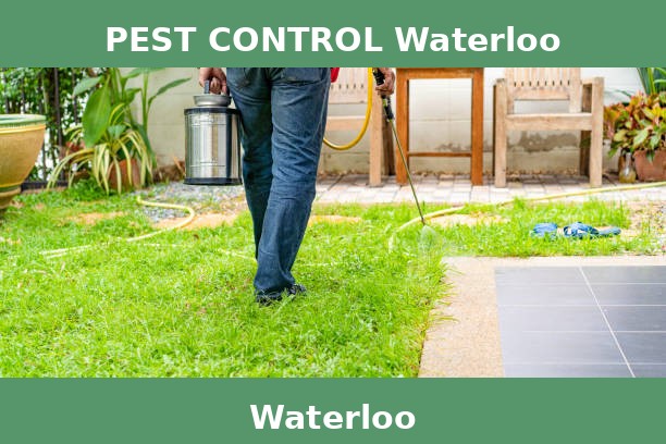 PEST CONTROL Waterloo